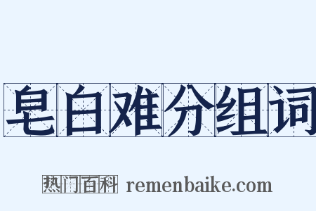 皂白难分组词是什么意思的图片
